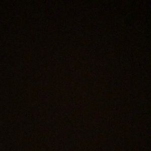 Meet your Posher, Ava